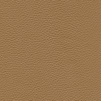 Leather Prescott EU 216 Antilop