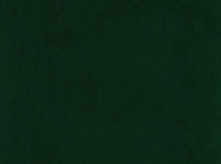 Fabric Ritz 6726, dark green