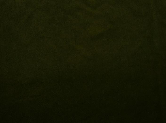 Fabric Ritz 7307, moss green
