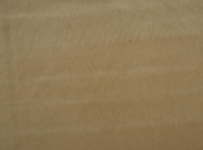 Fabric Ritz 4422, beige