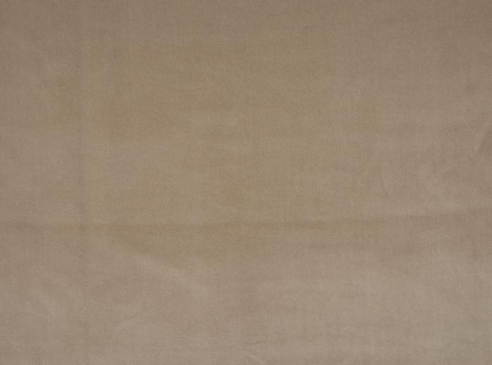 Fabric Ritz Trend 0206, cream