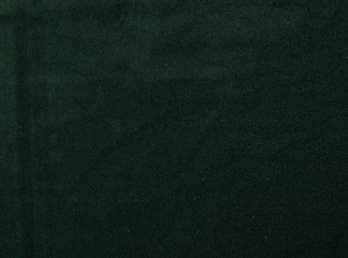 Fabric Ritz Trend 6711 , bottle green