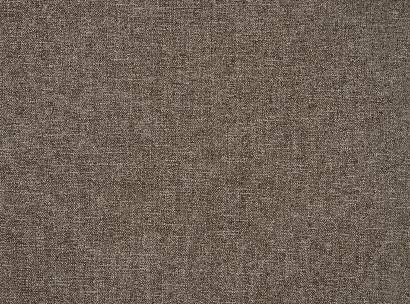 Fabric Story 36 Fossil Fabric Story 36 Fossil