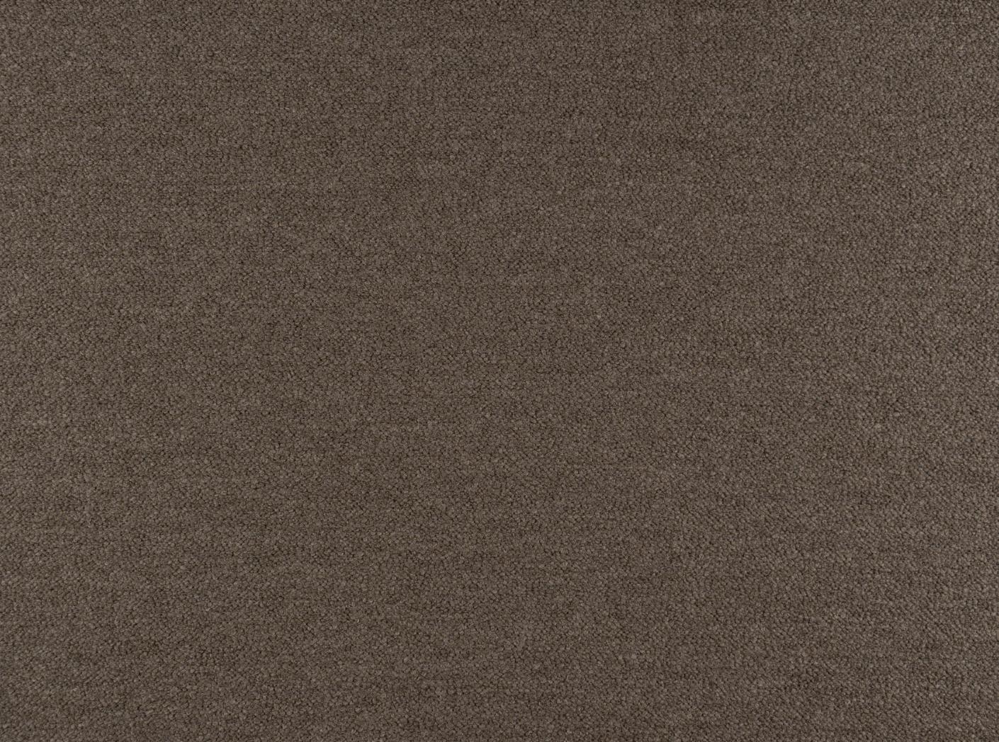 Fabric Barnum 10 Dark taupe Fabric Barnum 10 Dark taupe