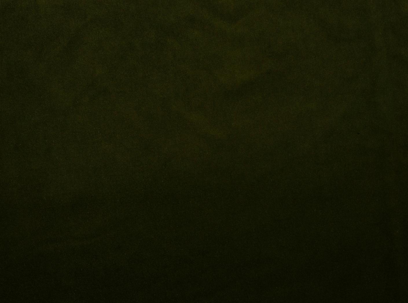 Fabric Ritz 7307 Moss  Fabric Ritz 7307 Moss