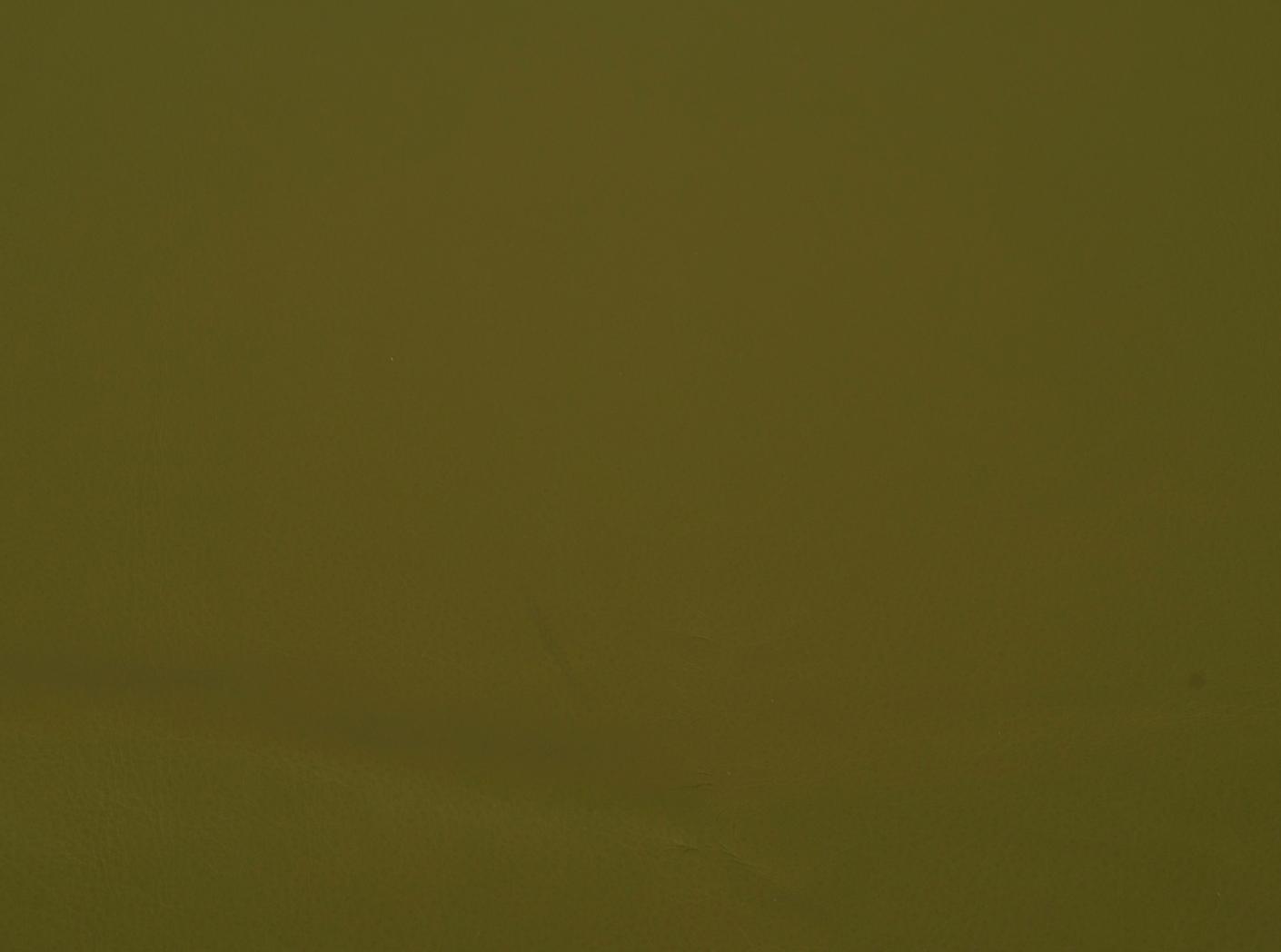 Leather Challenger 003 Olive Leather Challenger 003 Olive