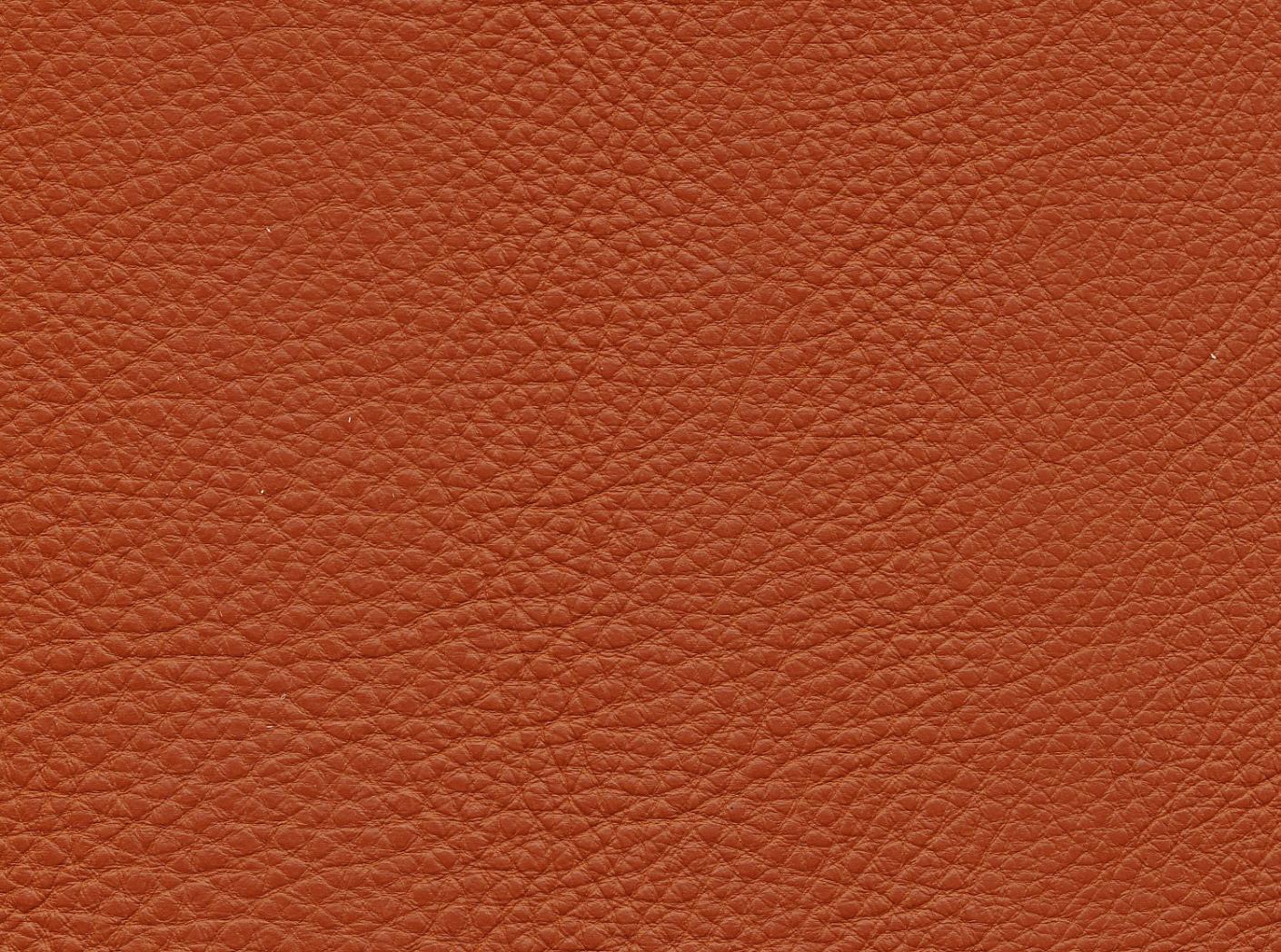 Leather Prescott EU 398 Horse Leather Prescott EU 398 Horse