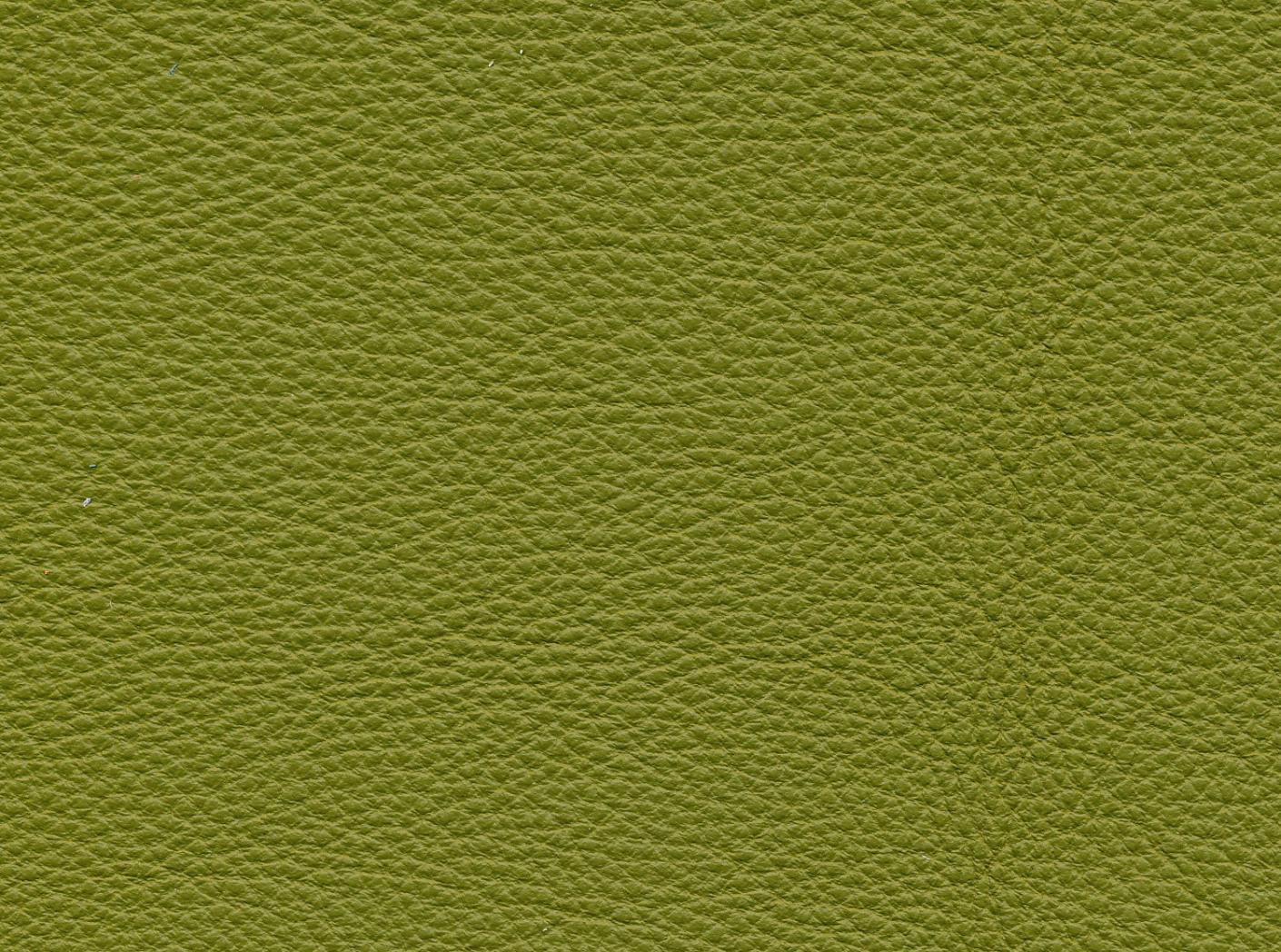 Leather Prescott EU 256 Aloe Leather Prescott EU 256 Aloe