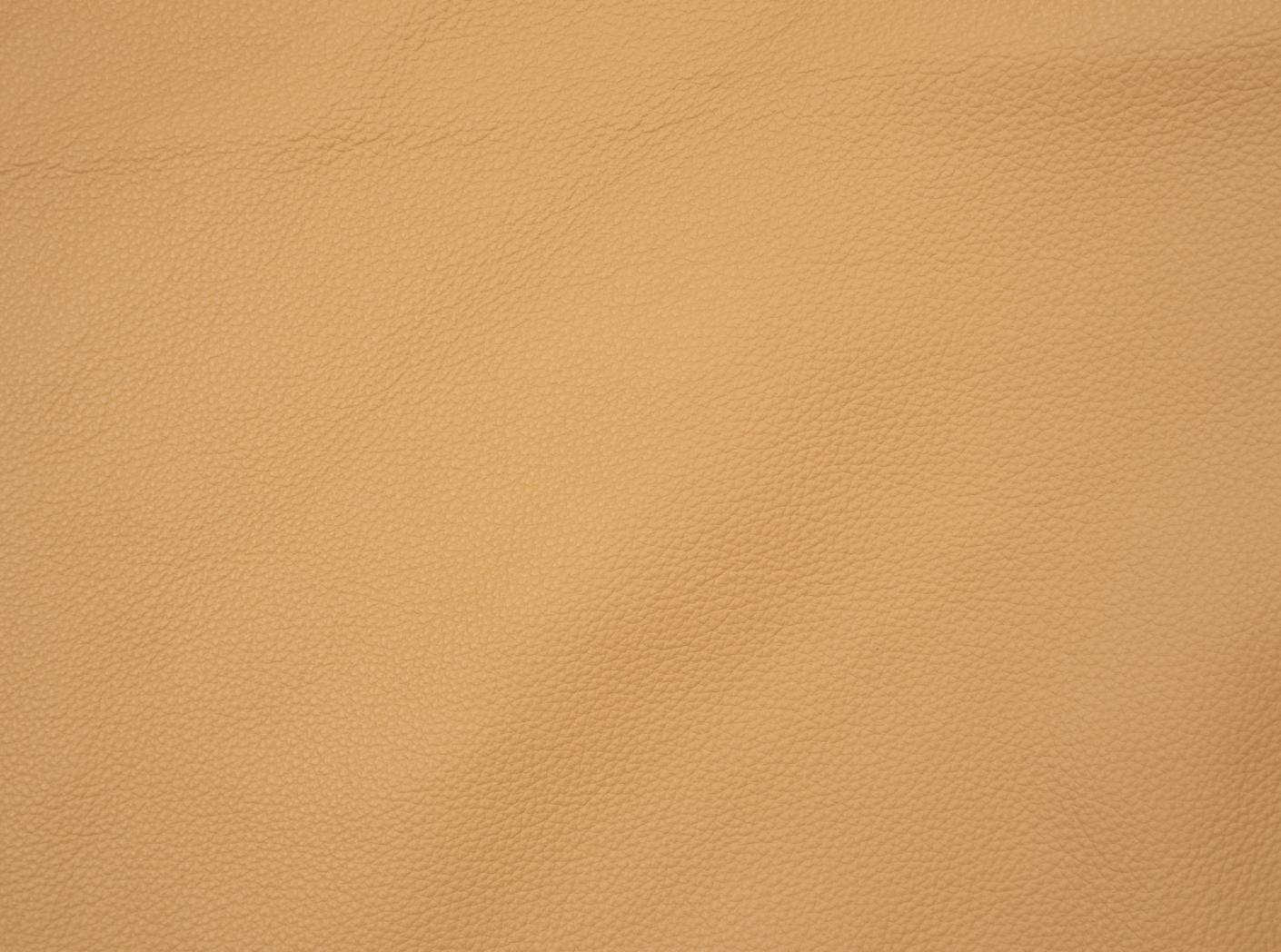 Leather Prescott SA 222 Cinnamon Leather Prescott SA 222 Cinnamon