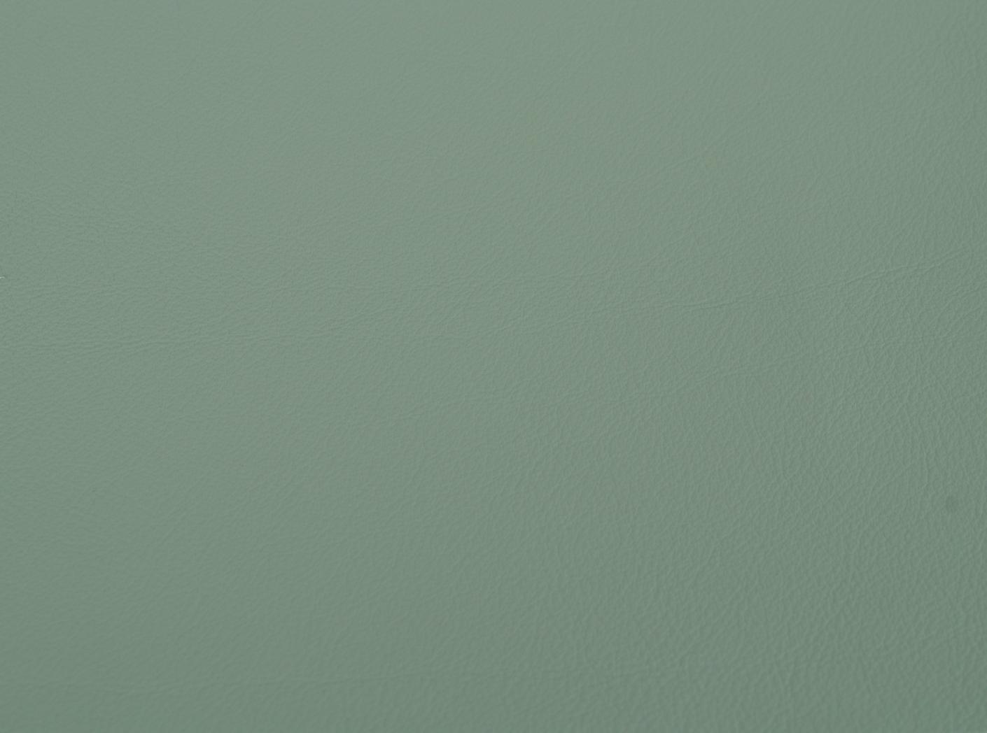 Leather Linea 674 Octane Leather Linea 674 Octane