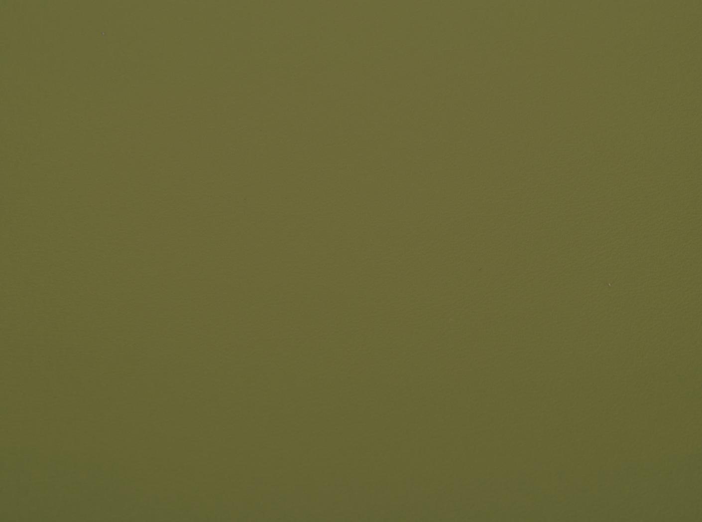 Leather Linea 685 Aloe Leather Linea 685 Aloe