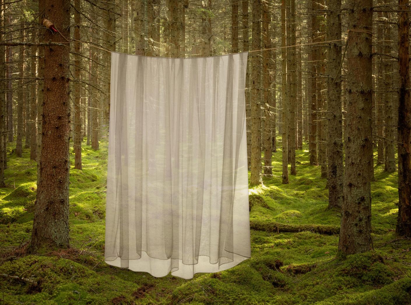 Curtain Catania FR 104 (014 Gold) Gold, 300cm Curtain Catania FR 104 (014 Gold) Gold, 300cm