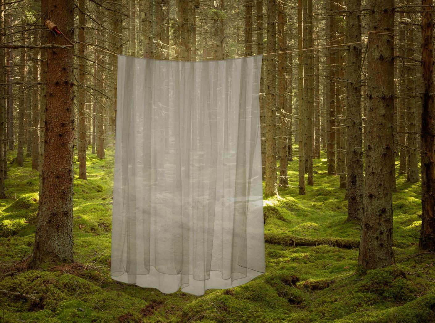 Curtain Catania FR 105 Mole, 300cm Curtain Catania FR 105 Mole, 300cm