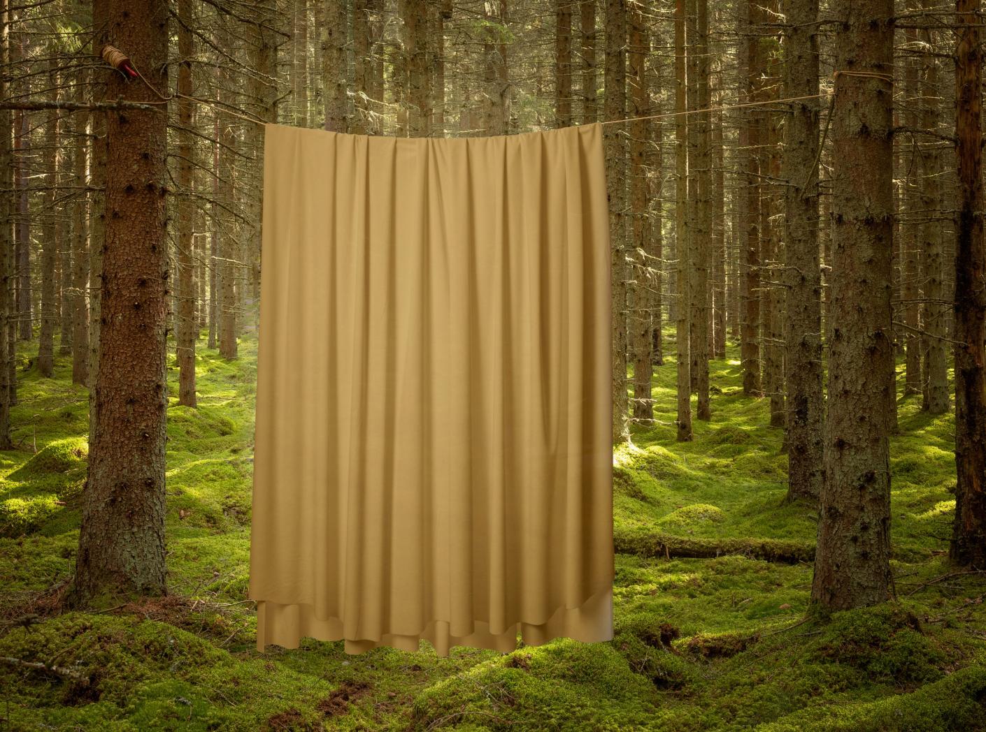 Curtain Roma Velvet FR 62 Mustard, 300cm Curtain Roma Velvet FR 62 Mustard, 300cm