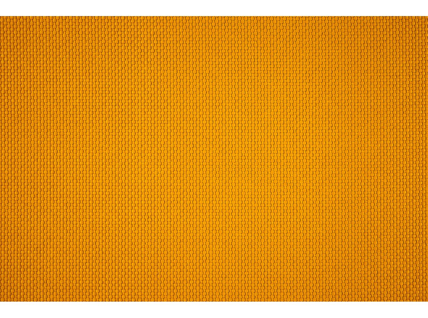Fabric Intro CS 3019 Saffron Fabric Intro CS 3019 Saffron