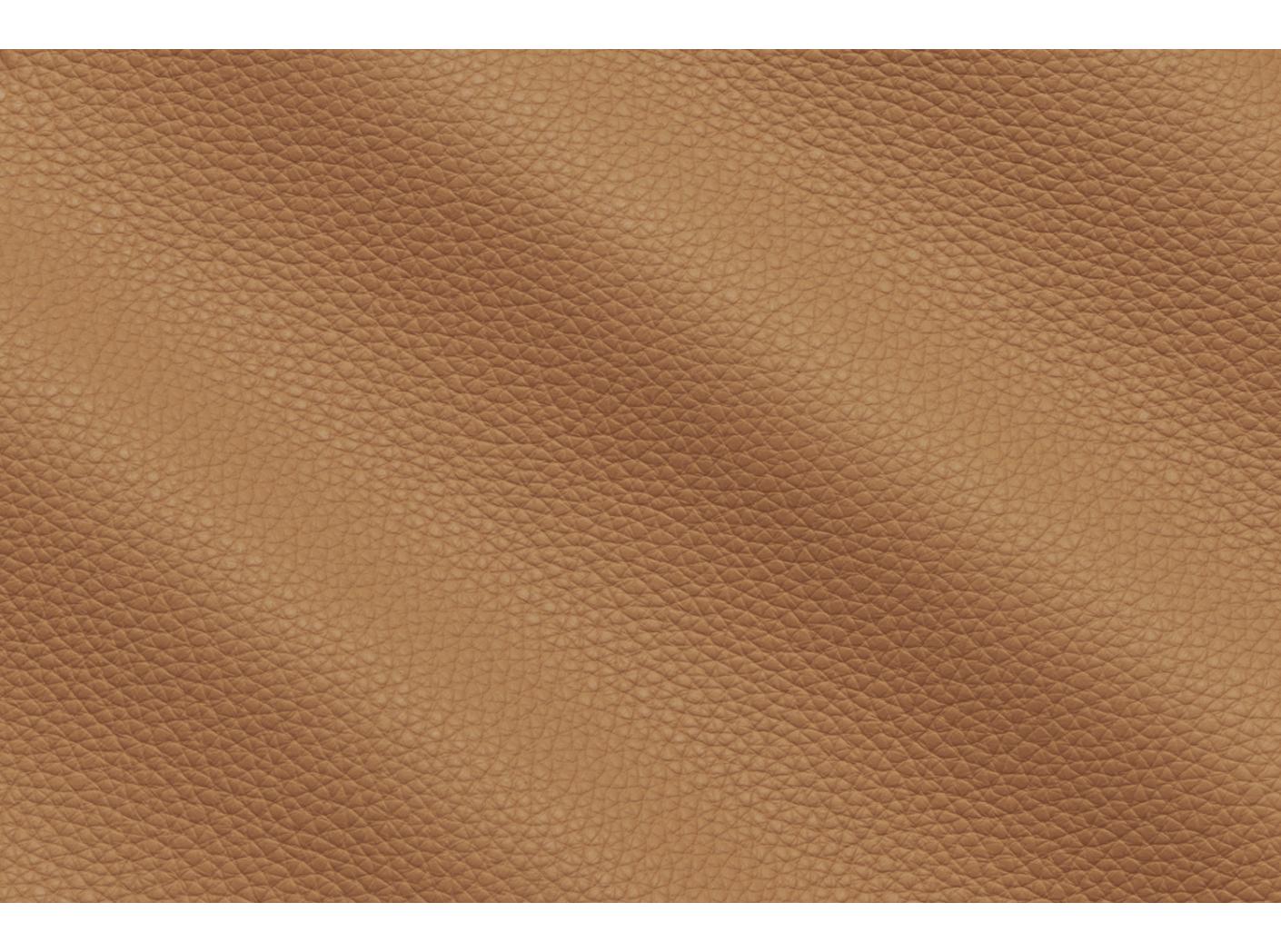 Leather Prescott EU 221 Lion Leather Prescott EU 221 Lion