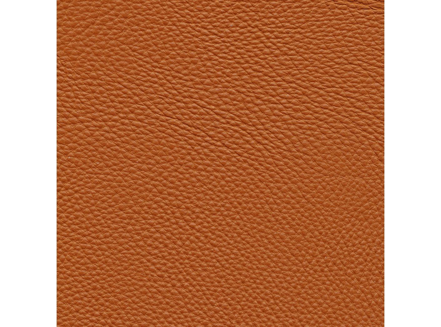 Leather Prescott SA 223 Swamp Oeko-Tex Leather Prescott SA 223 Swamp Oeko-Tex