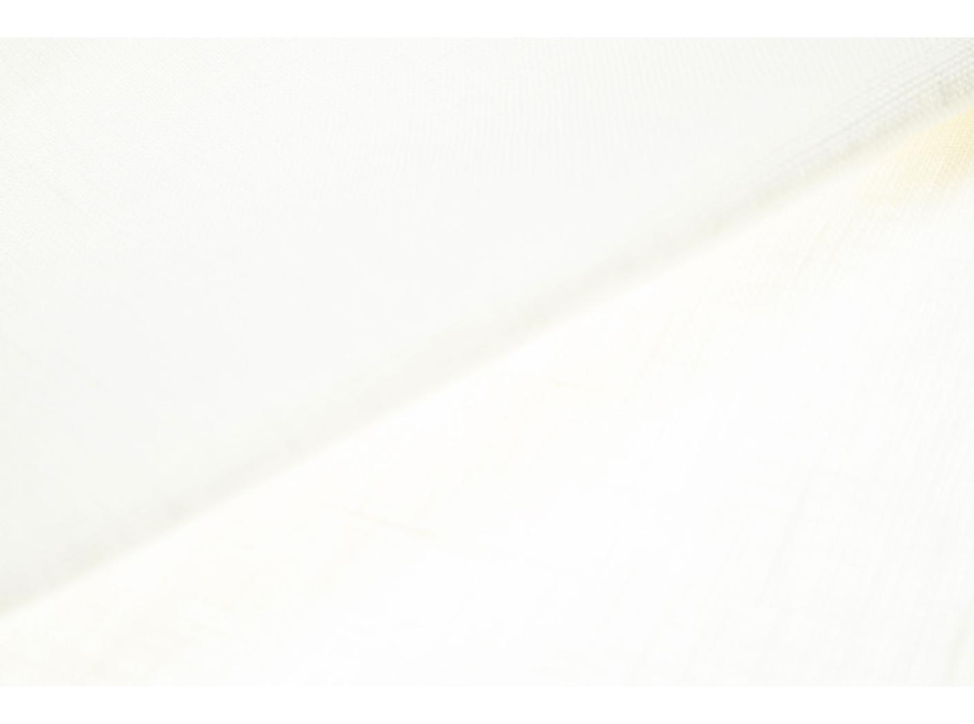 Leinenstoff White 150cm, 245g Leinenstoff White 150cm, 245g