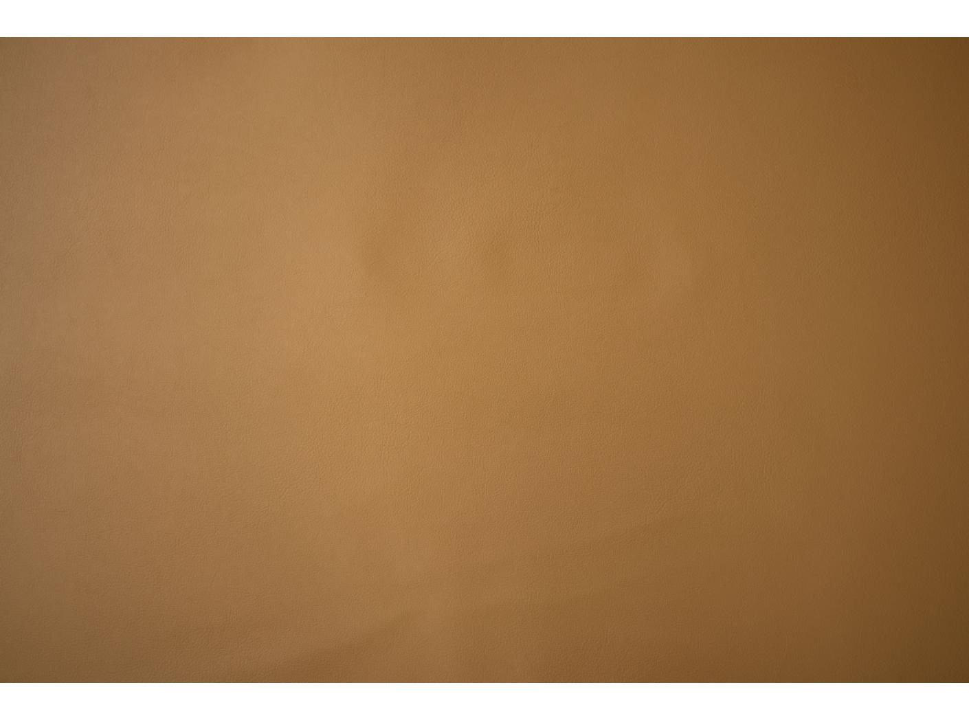 Artificial leather Illusion 3.0 43140 Pale gold Artificial leather Illusion 3.0 43140 Pale gold