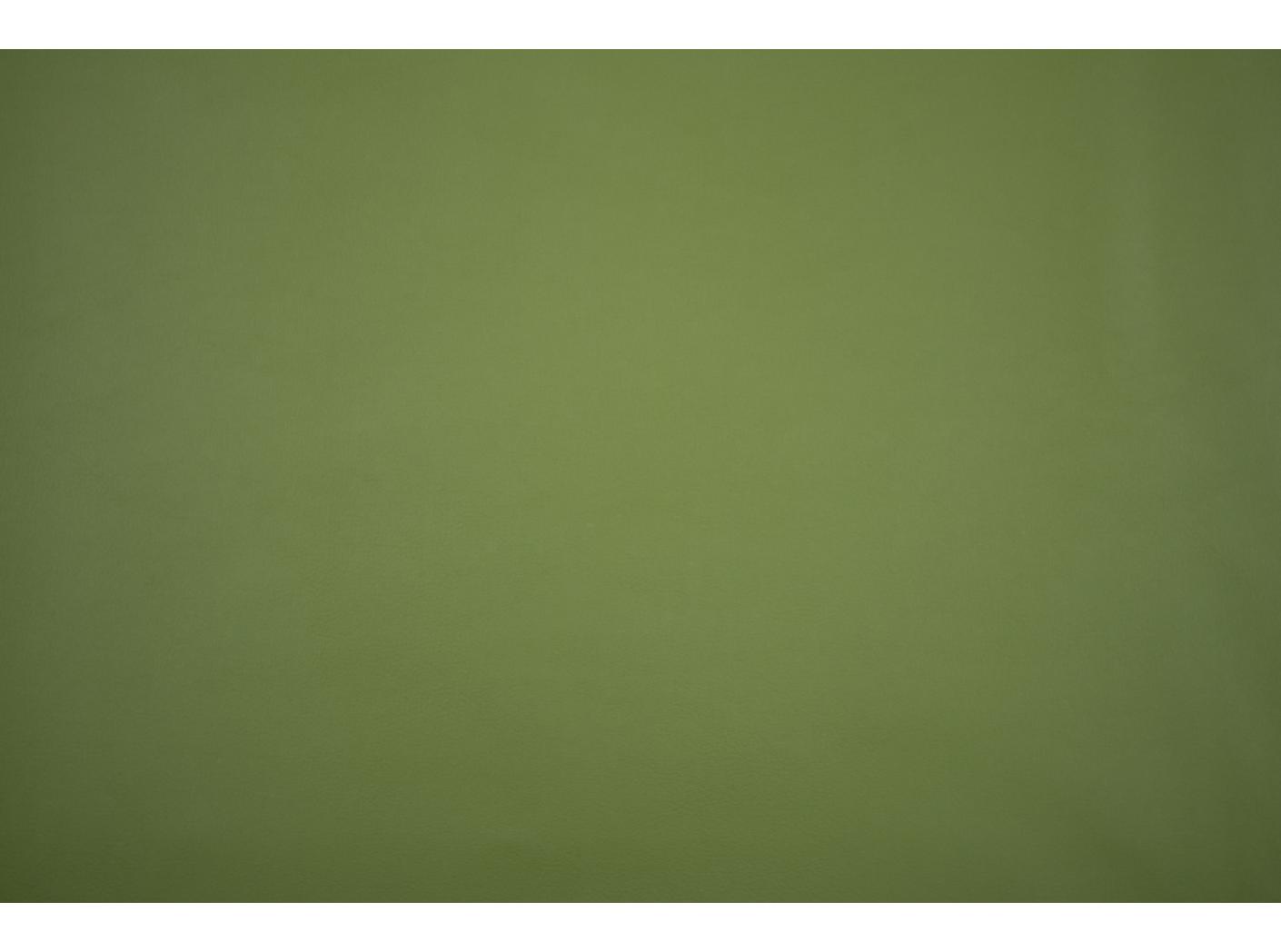 Artificial leather Illusion 3.0 73677 Cedar green Artificial leather Illusion 3.0 73677 Cedar green