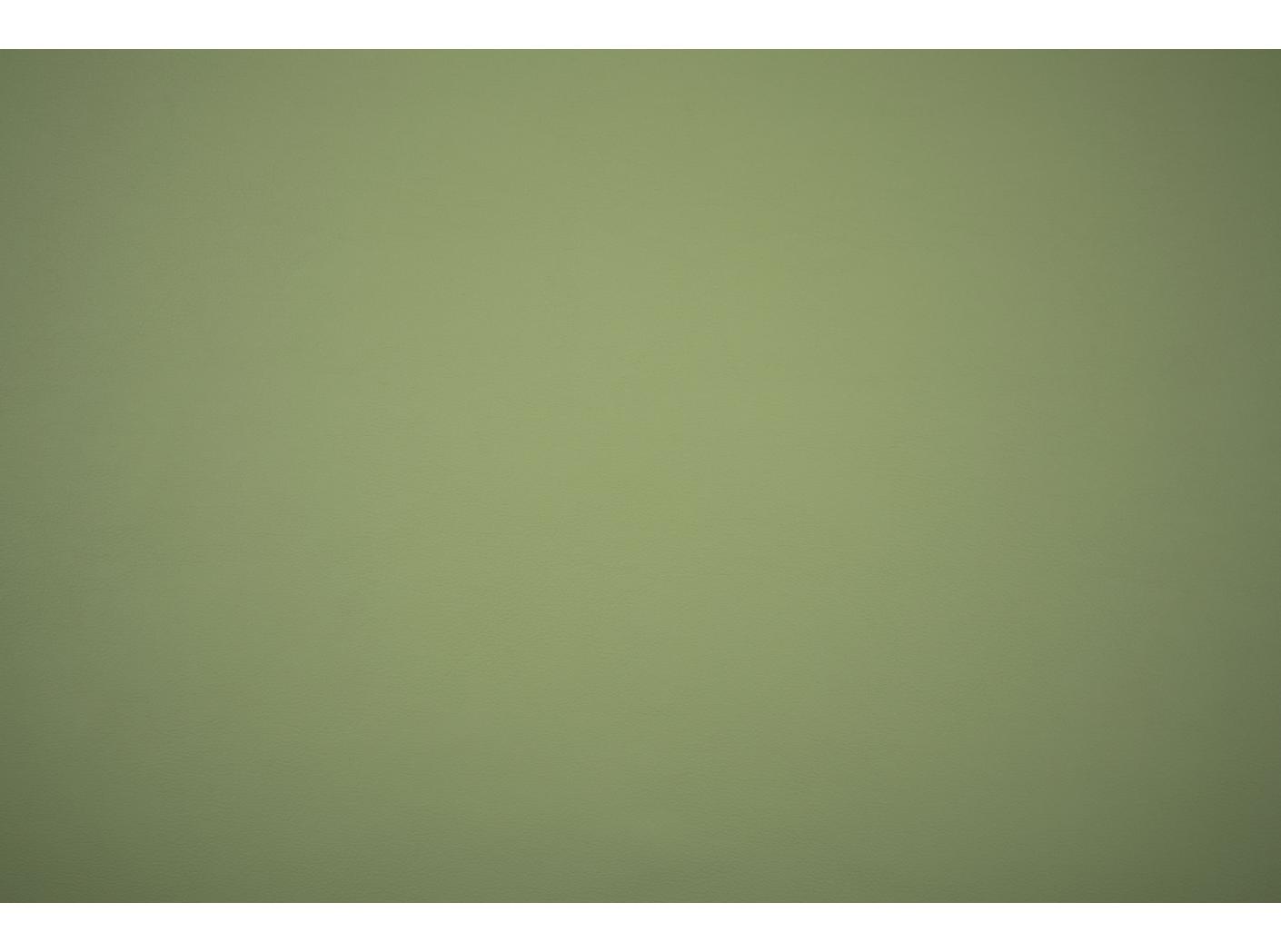Artificial leather Illusion 3.0 71220 Sage Artificial leather Illusion 3.0 71220 Sage