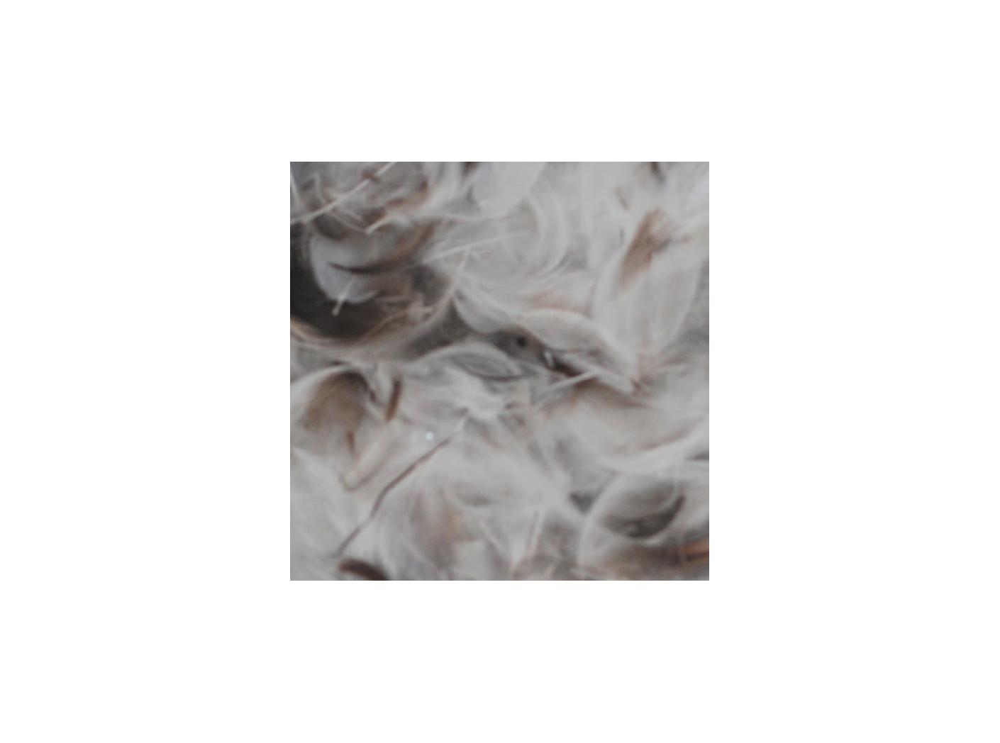 Feather 30421,1kg/fp Feather 30421,1kg/fp