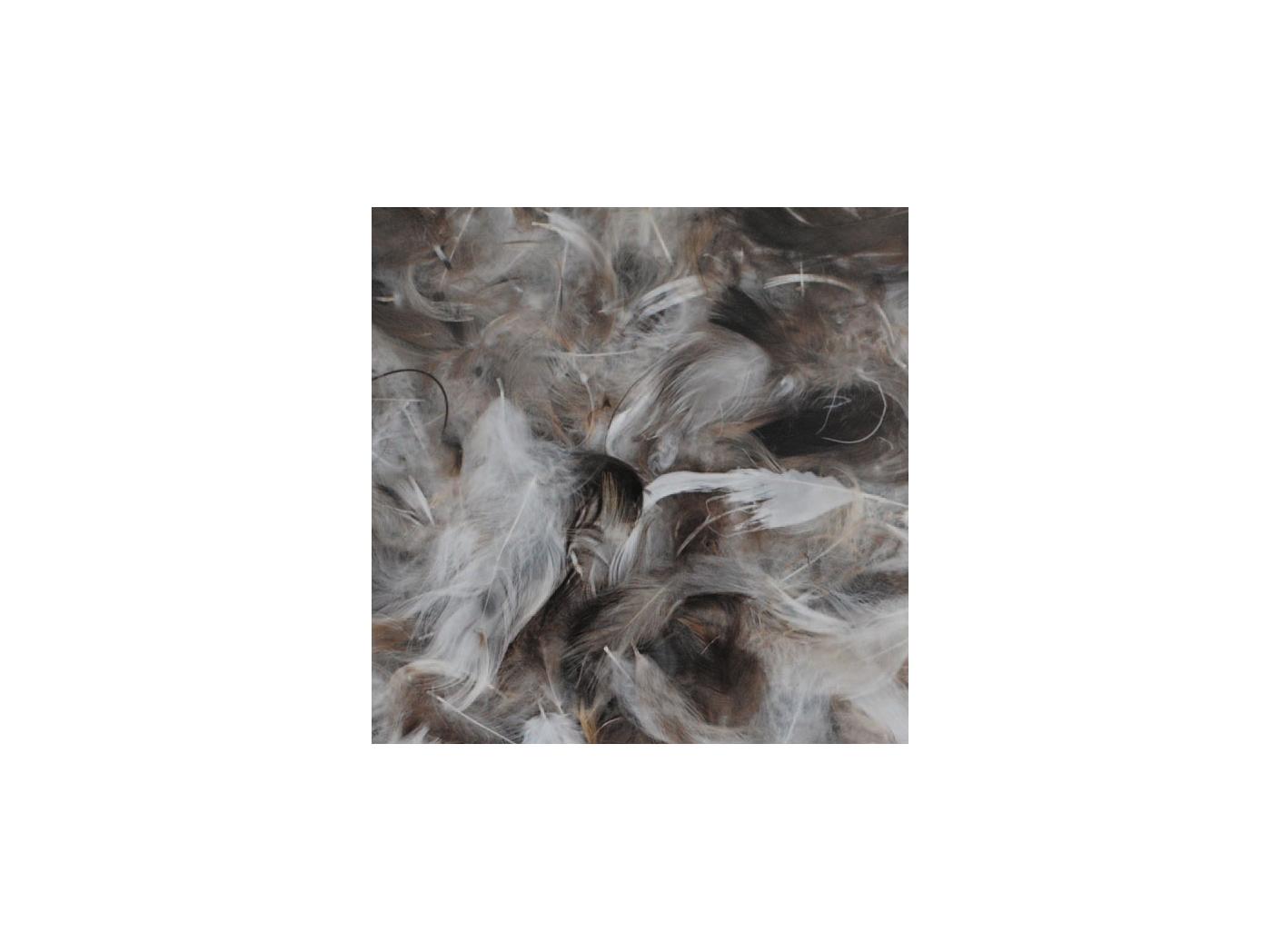 Down/feathers 12011, 1kg/fp Down/feathers 12011, 1kg/fp