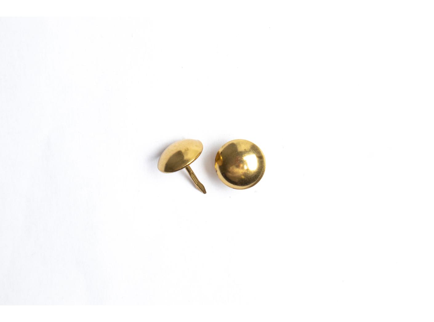 Decorative nails Brass Z160, Ø12,5mm, 1000pc/fp Decorative nails Brass Z160, Ø12,5mm, 1000pc/fp