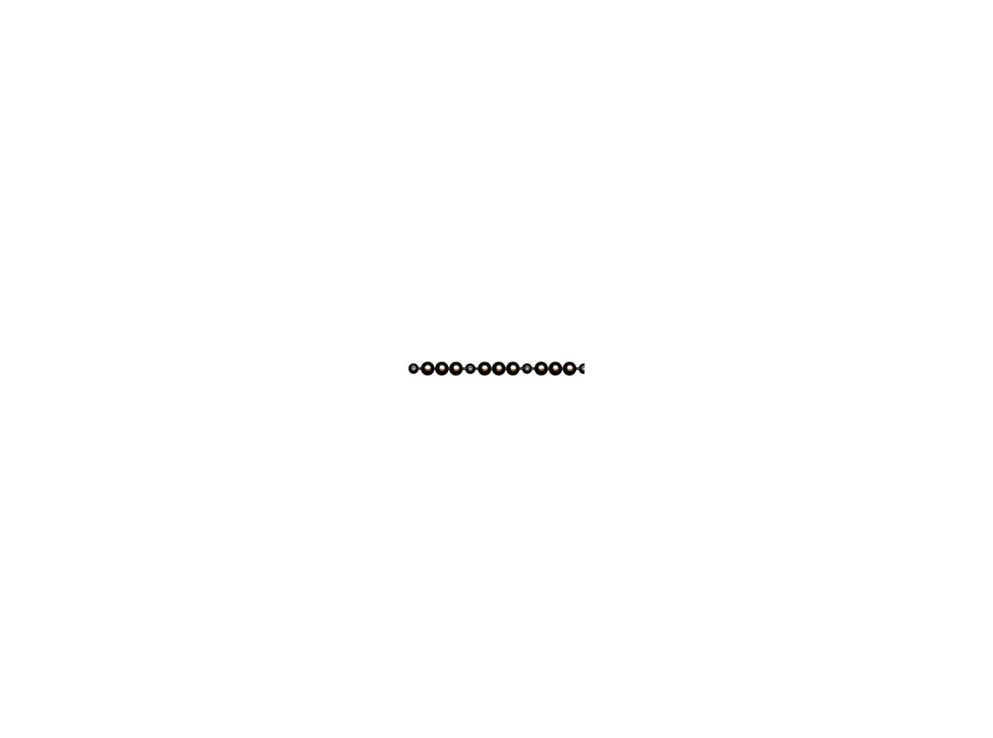 Decorative nails in lengths 100 BR, Ø9,5mm, incl. nails, 50m/fp Decorative nails in lengths 100 BR, Ø9,5mm, incl. nails, 50m/fp