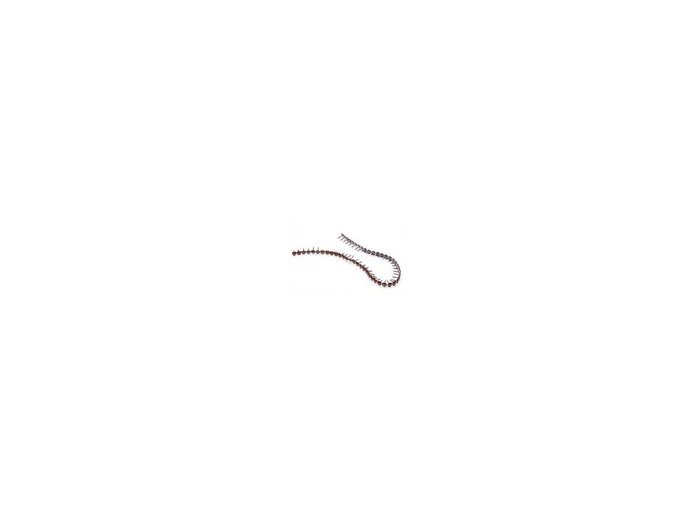 Decorative nails for gun GM, Ø9,5mm, 3000pc/fp Decorative nails for gun GM, Ø9,5mm, 3000pc/fp