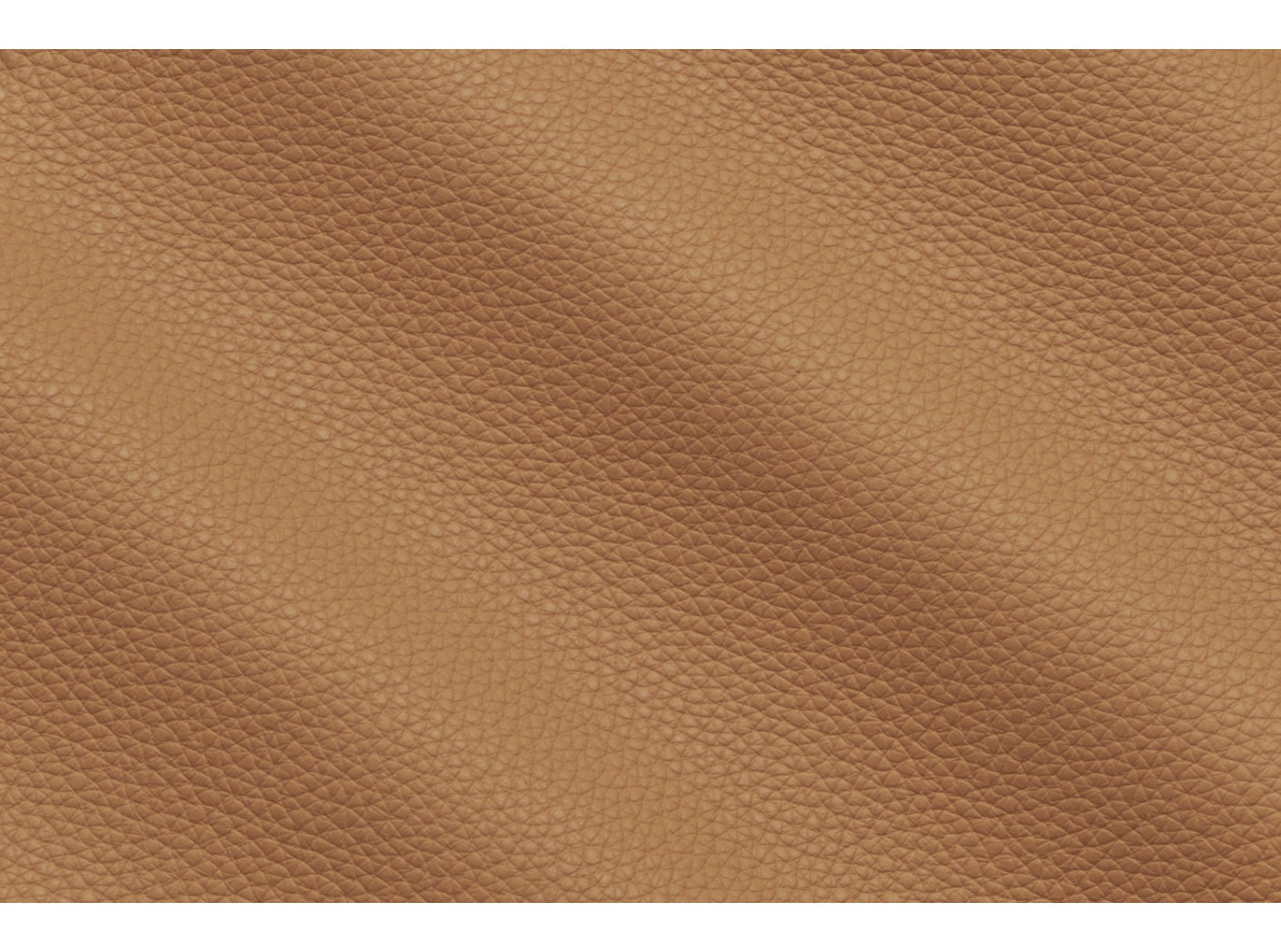 Leather Prescott EU 221 Lion Leather Prescott EU 221 Lion