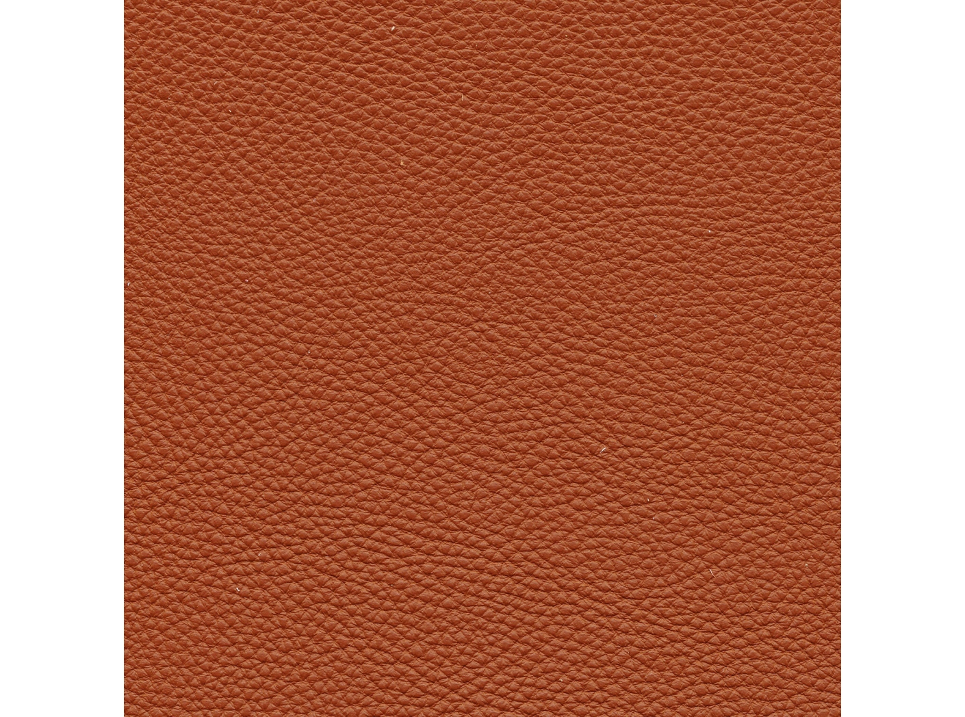 Leather Prescott EU 228 Cotto Leather Prescott EU 228 Cotto