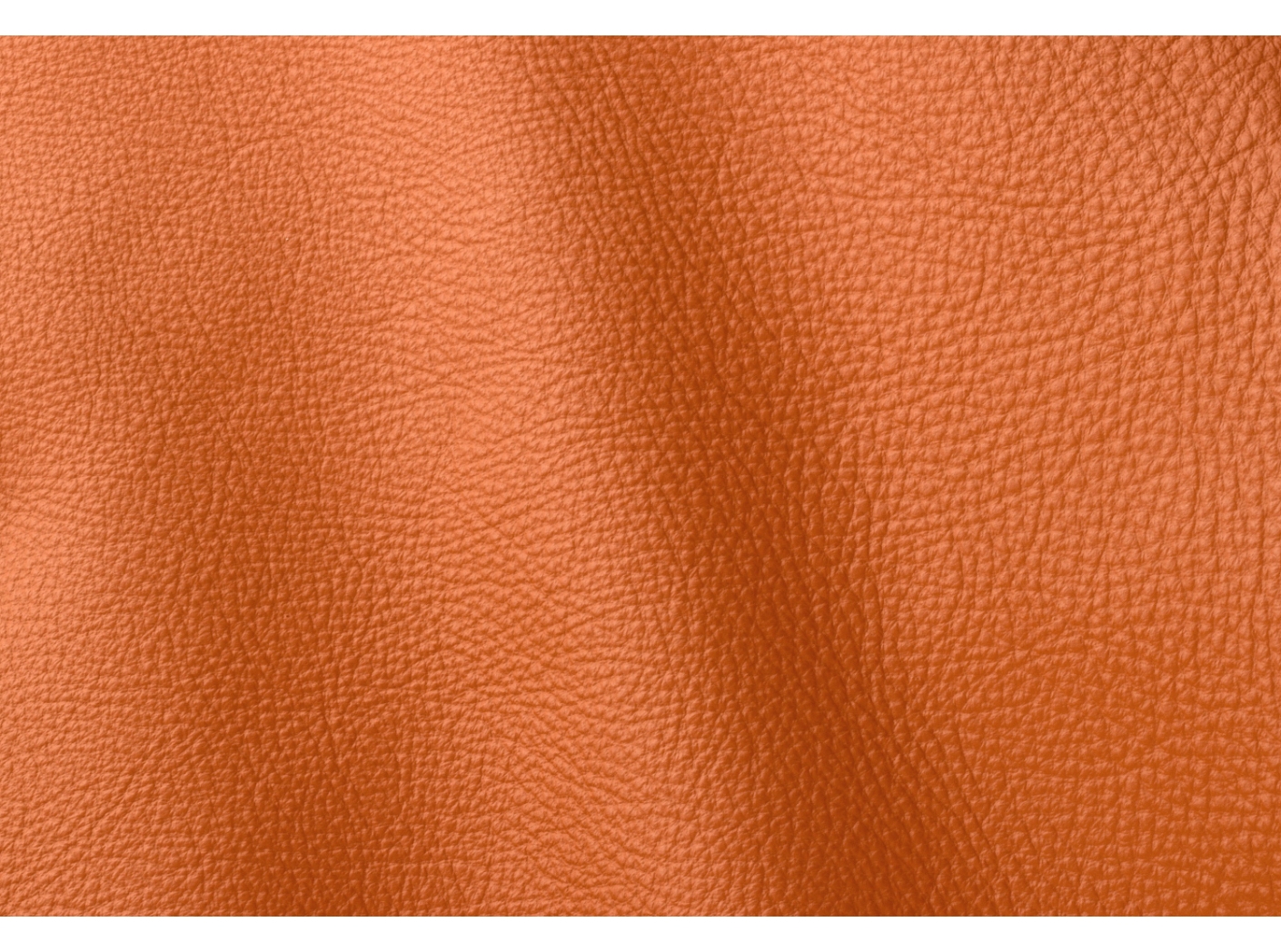 Leather Prescott EU 246 Claw Leather Prescott EU 246 Claw