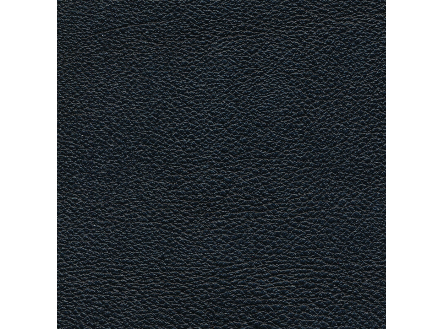 Leather Prescott SA 293 Ebony Leather Prescott SA 293 Ebony