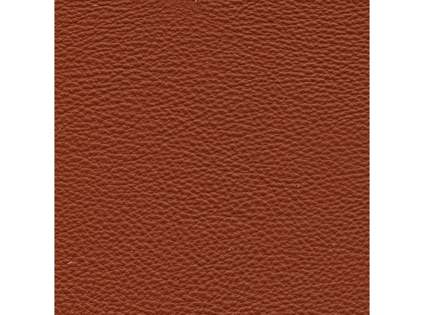 Leather Prescott EU 289 Hezelnut Leather Prescott EU 289 Hezelnut