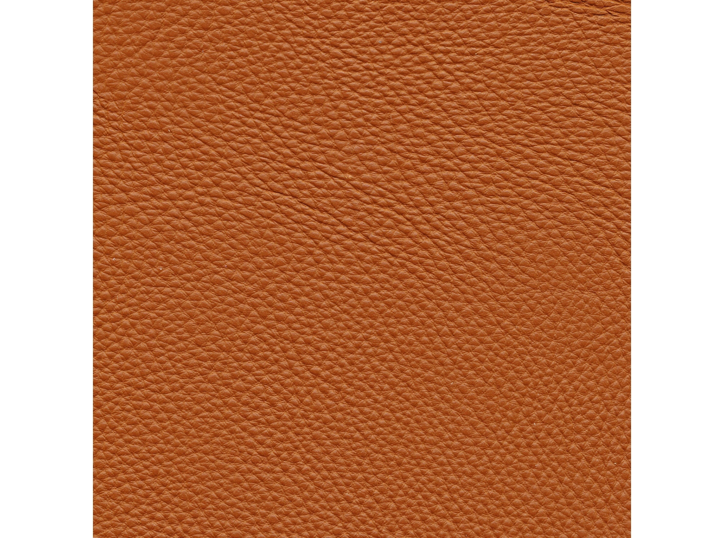 Leather Prescott SA 223 Swamp Oeko-Tex Leather Prescott SA 223 Swamp Oeko-Tex
