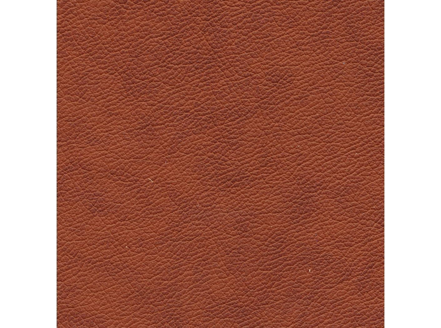 Leather Lambada 2316 Cognac 2-tone Oeko-Tex Leather Lambada 2316 Cognac 2-tone Oeko-Tex