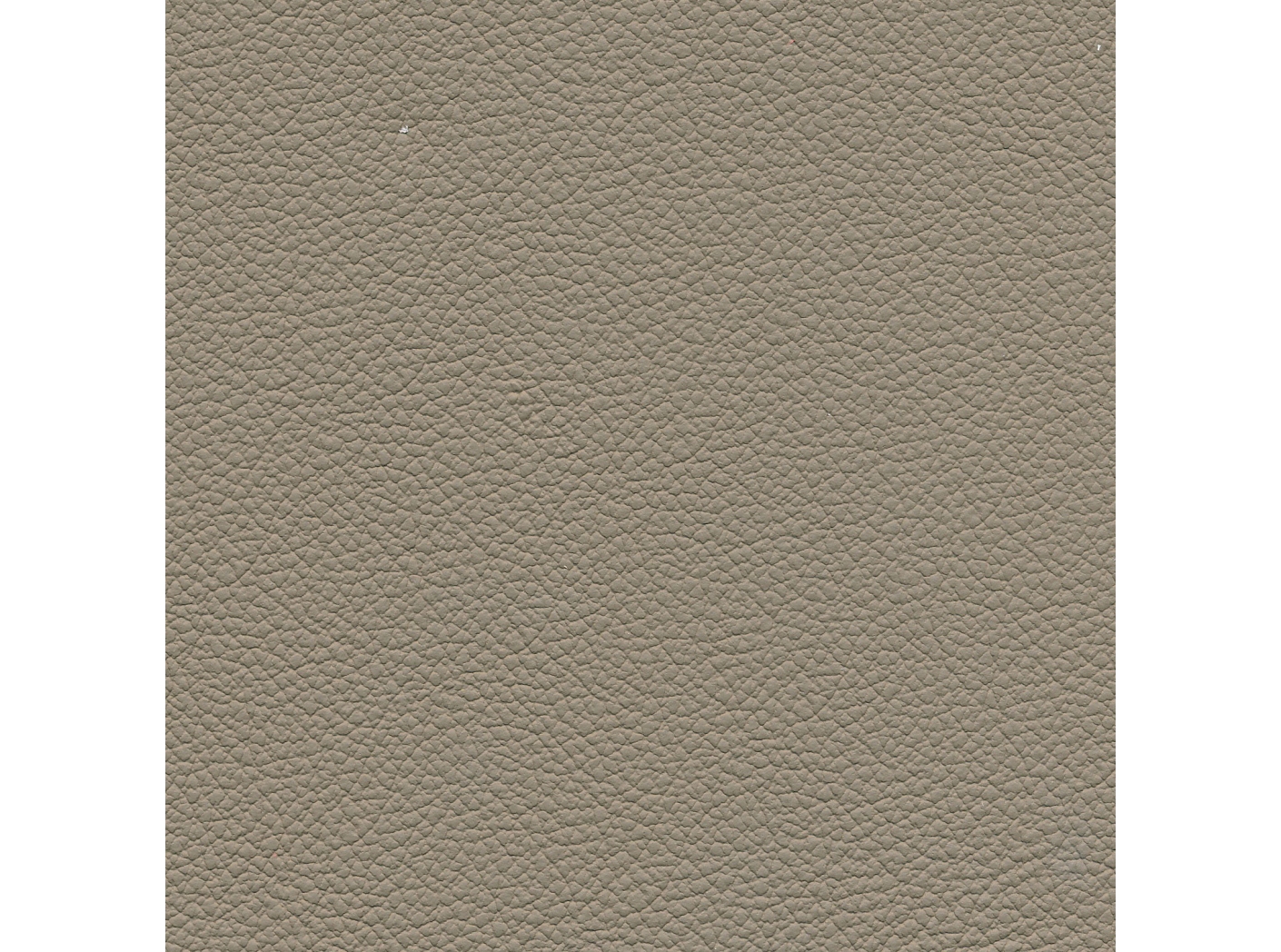 Leather Lambada 9717 Fungi Oeko-Tex Leather Lambada 9717 Fungi Oeko-Tex