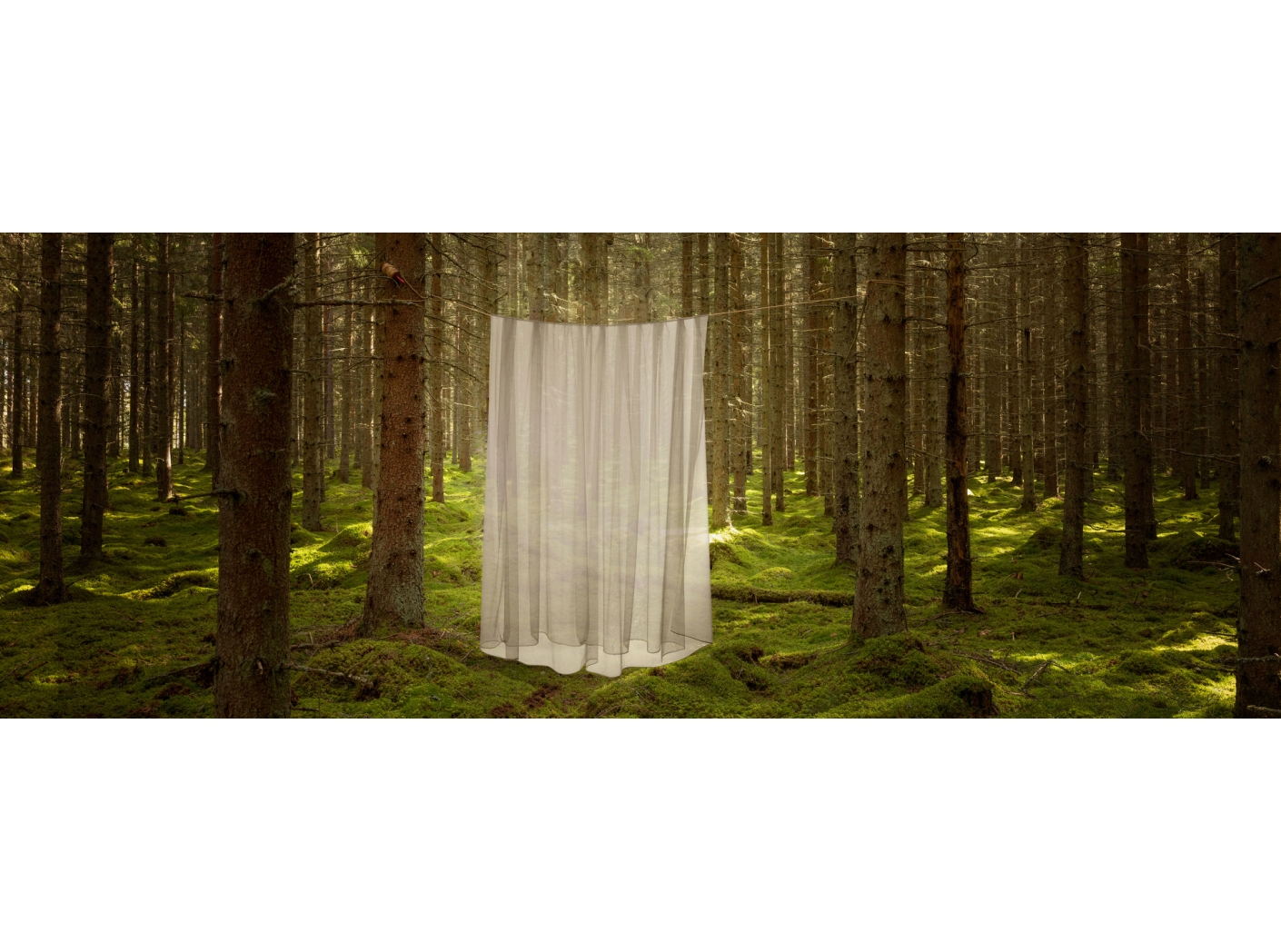 Curtain Catania FR 104 (014 Gold) Gold, 300cm Curtain Catania FR 104 (014 Gold) Gold, 300cm