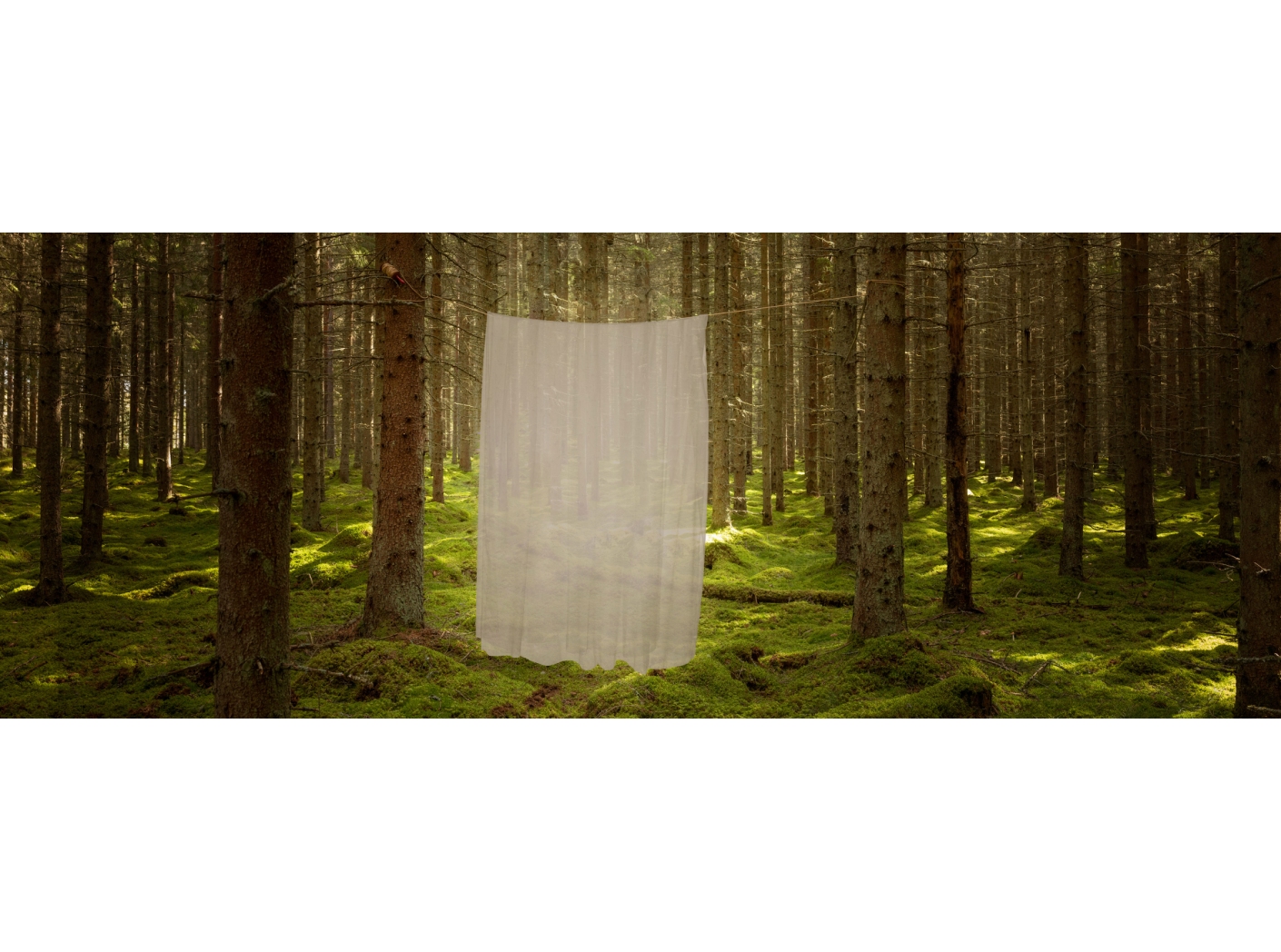 Curtain Modena FR 124 Mastic, 300cm Curtain Modena FR 124 Mastic, 300cm
