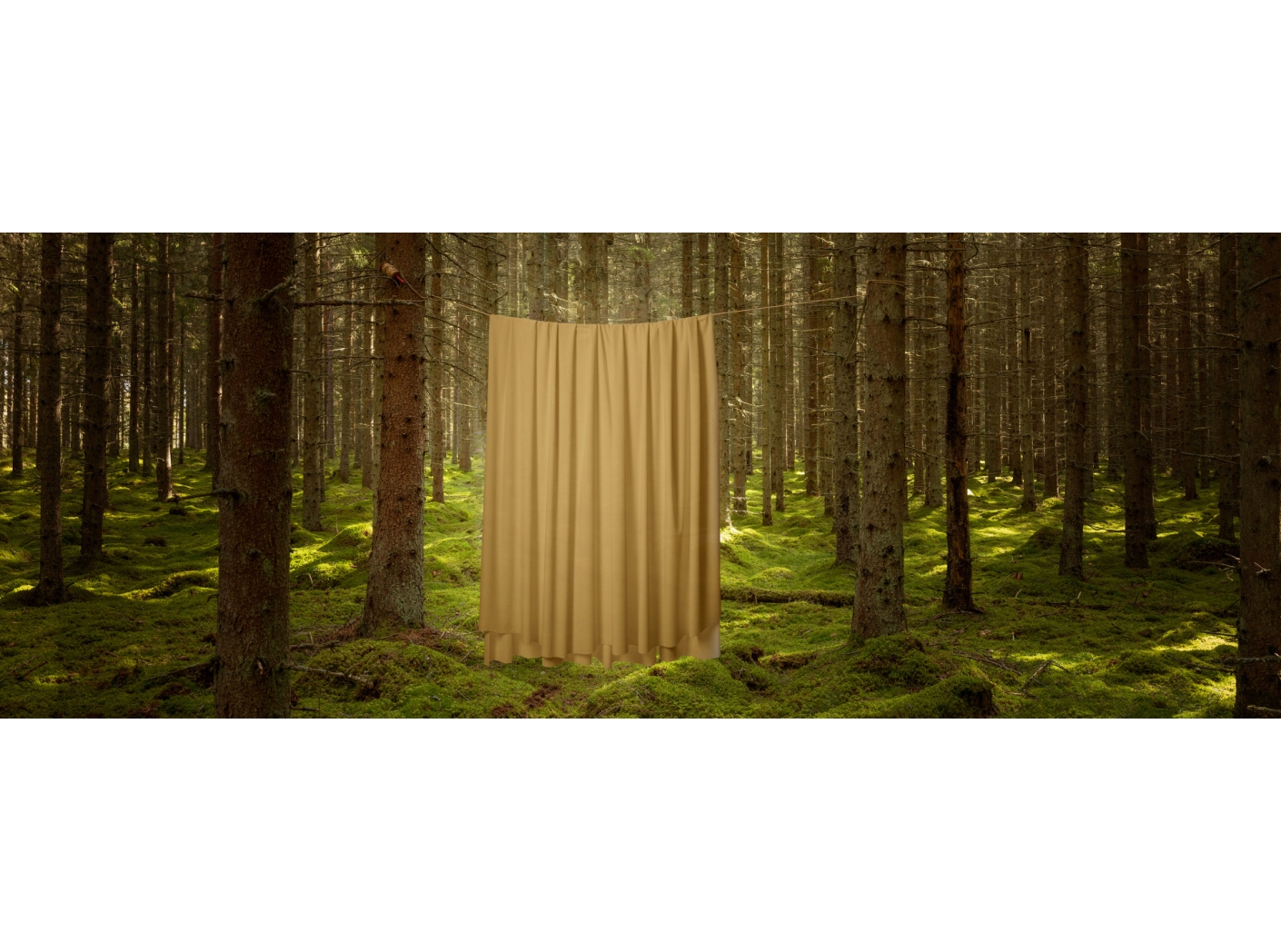 Curtain Roma Velvet FR 62 Mustard, 300cm Curtain Roma Velvet FR 62 Mustard, 300cm