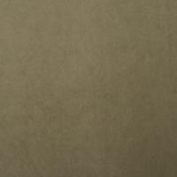 Fabric Grand Lazio Velvet 0016 Light green