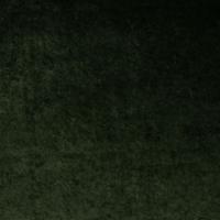 Fabric Grand Lazio Velvet 00Z3 Bottle green