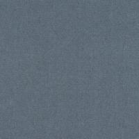 Fabric Generation 109 Dusty Blue