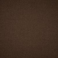 Fabric Intro CS 2022 Chocolate