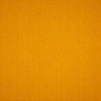 Fabric Intro CS 3019 Saffron