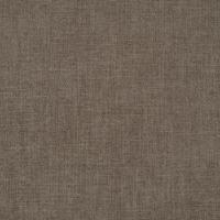 Fabric Story 36 Fossil