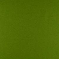 Fabric Wooly 2079 Green