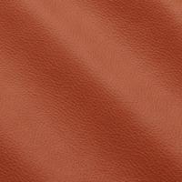 Leder Mistral IC011017 Orange