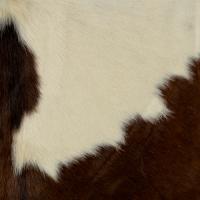 Cow hide Brown/White with hair